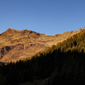 IMG_5567.jpg