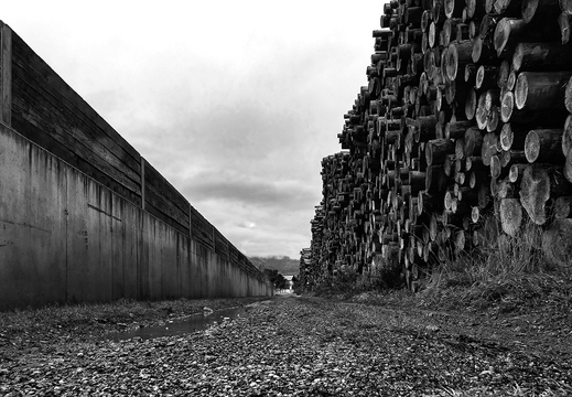 Schadholzstapel an Betonwand, Lienz