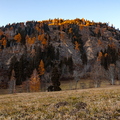 IMG_6631.jpg