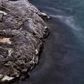 IMG_2170.jpg