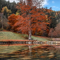 IMG_6188.jpg