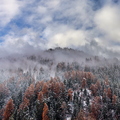 IMG_6711.jpg