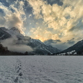 IMG_6778.jpg
