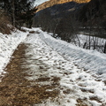 IMG_7534.jpg