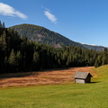 IMG_5002.jpg