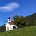 IMG_5017.jpg