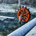 IMG_6037.jpg