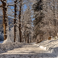 IMG_6953.jpg
