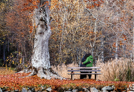 Gemeinsam am Schlossteich in Lienz