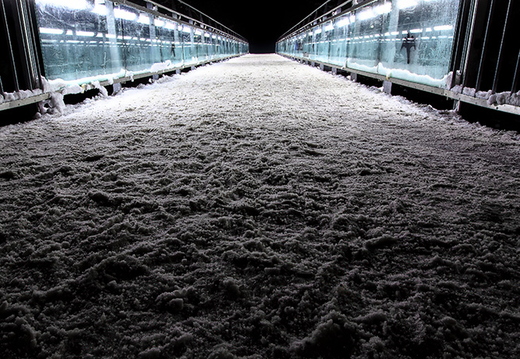 Iselstegbrücke bei Nacht, Lienz